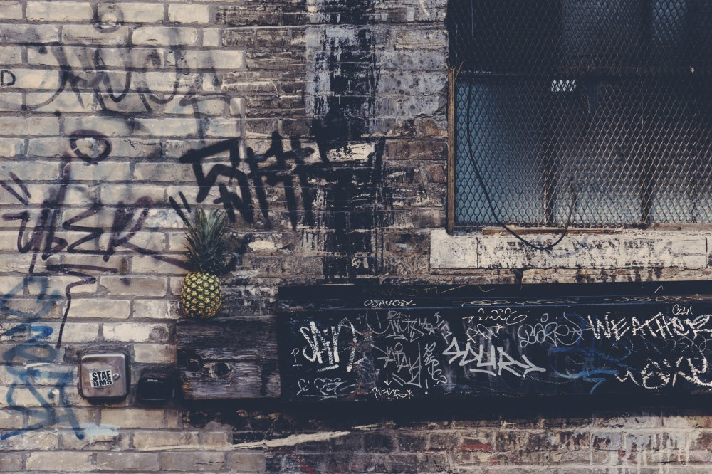 pineapple-supply-co-108850-unsplash